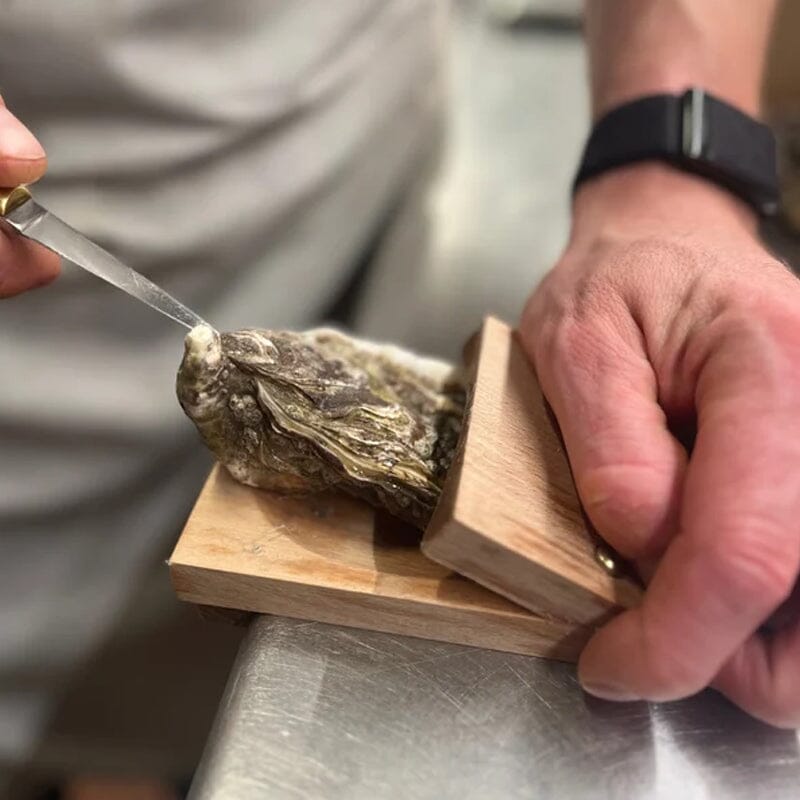 Oyster Opening Clamp