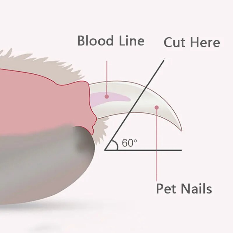 Nvroome Precision Dog Nail Clippers
