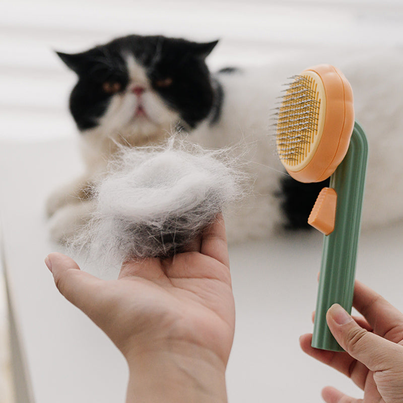 Ultimate Self-Cleaning Cat Brush