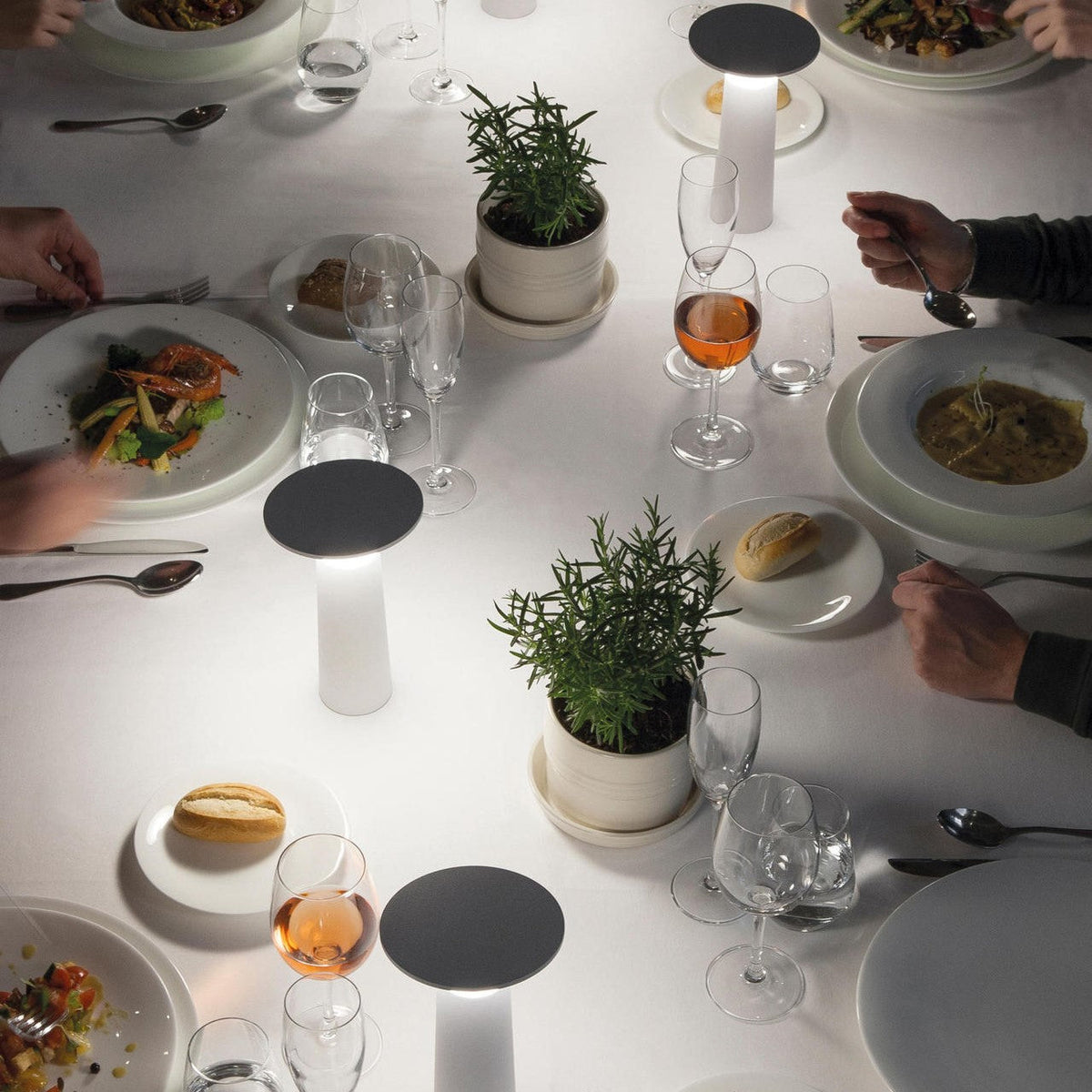 TriLight Minimalist Adjustable LED Table Lamp
